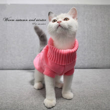Load image into Gallery viewer, Winter Solid Pet Clothing Sweater Coat Fit Slim Cat Costume Puppy Dog Jacket Chichuachua Pet Outfit Pullover Knitted Size XS-XXL