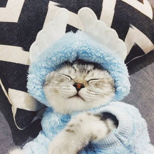 Cute Cat clothes одежда для кош Cat Sweater Winter Warm for Cats Clothing Products for Pets Costume Suit Halloween  Pet supplies