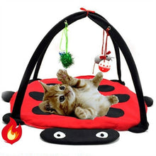 Load image into Gallery viewer, Red Beetle Fun Bell Cat Tent Pet Toy Cat Hammock Toy Cat Litter Cat Home Goods Cat House