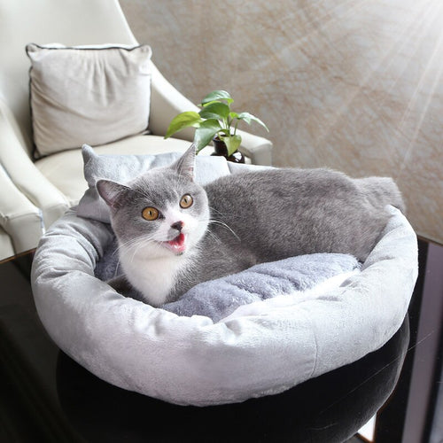 Soft Pet Cat Bed Sleep Trap Mats Winter Cushion Sleeping Bed Home for Cat Summer Pet Mattress Bed Dogs Pet Sofa Kennel AA60MW