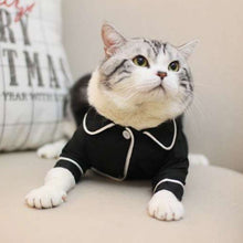 Load image into Gallery viewer, Soft Pet Cat Clothes Cotton Kitten Outfit Winter Clothing For Small Cats Costume Fashion Warm Cat Clothes Winter Pet Clothing